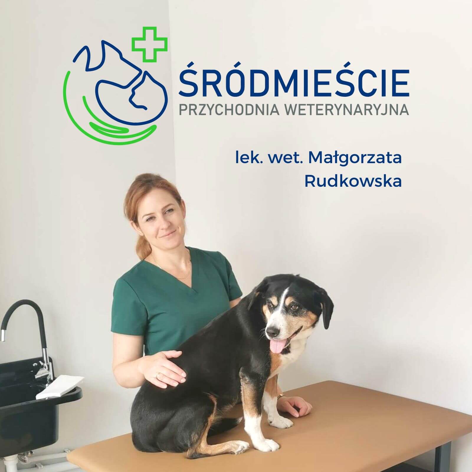 Weterynarz Wrocław Śródmieście Małgorzata Rudkowska 📞 533 857 746 8458